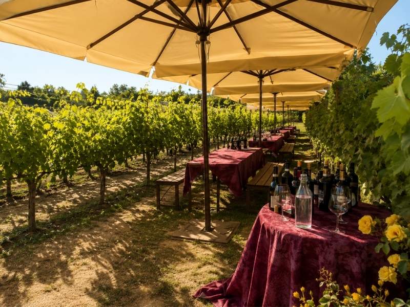 Chianti Wine Tasting Tour from Florence