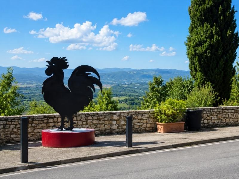 Private Chianti Wine Tour from Florence