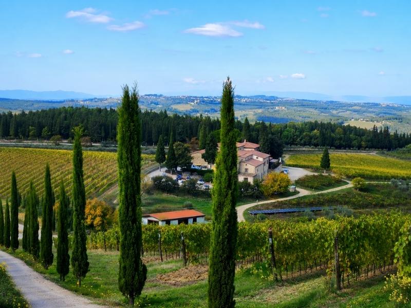 photo from Small Group Tuscany Wineries, Olive Oil Tasting